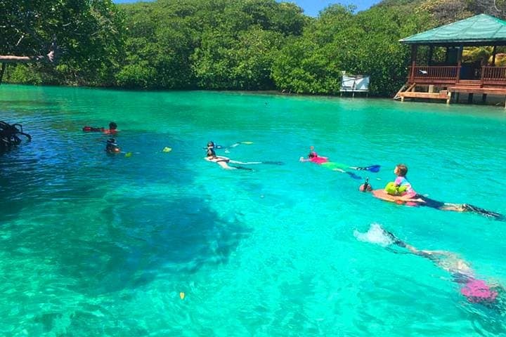 Roatán East Mangrove Tunnel Snorkel and Hole in the Wall Sightseeing photo 2