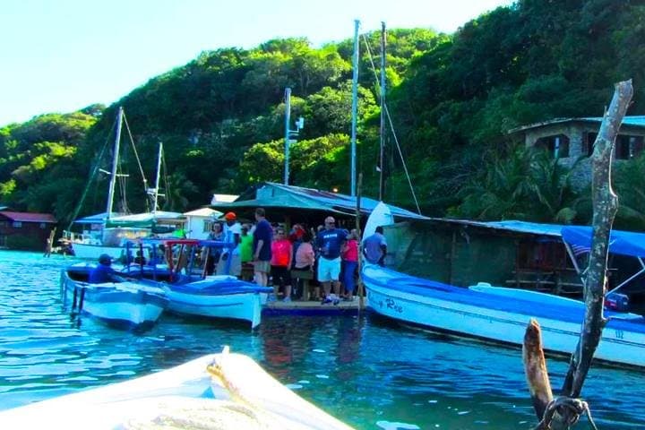Roatán East Mangrove Tunnel Snorkel and Hole in the Wall Sightseeing photo 3