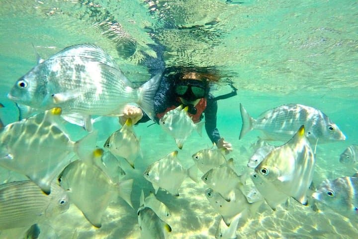 Gold Coast Kayaking and Snorkelling Tour to Wave Break Island photo 2