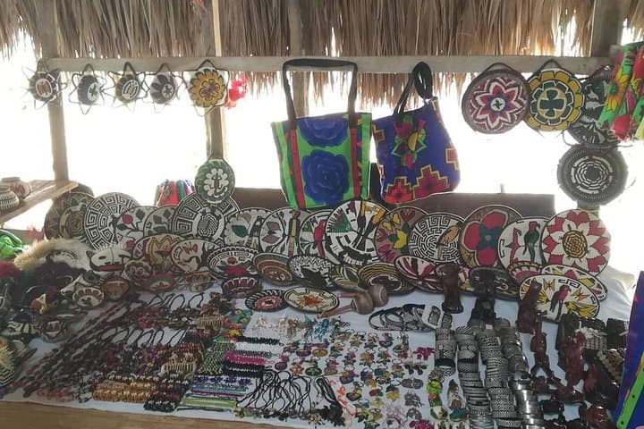 Emberá Village Waterfall Hike and Cultural Visit from Panama City photo 3