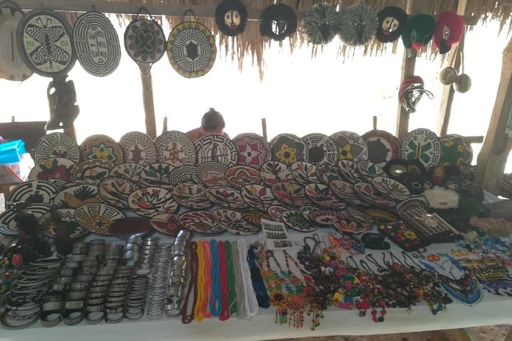 Emberá Village Waterfall Hike and Cultural Visit from Panama City photo 4