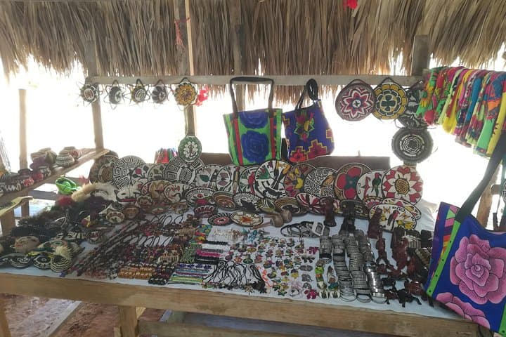 Emberá Village Waterfall Hike and Cultural Visit from Panama City photo 5