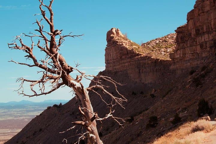 Mesa Verde Highlights Tour: Cliff Palace & Four Corners Views photo 5