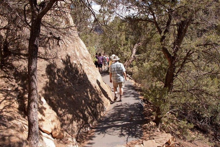 Mesa Verde Highlights Tour: Cliff Palace & Four Corners Views photo 3