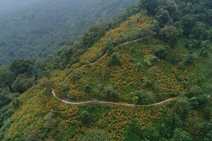 Ba Vi National Park Day Hike from Hanoi — Ruins, Peaks & Pine Forest Trails photo 3