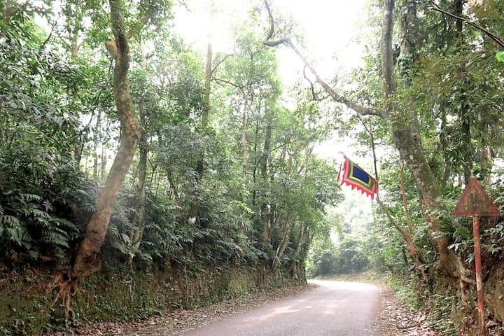 Ba Vi National Park Day Hike from Hanoi — Ruins, Peaks & Pine Forest Trails photo 4