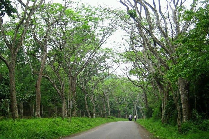 Ba Vi National Park Day Hike from Hanoi — Ruins, Peaks & Pine Forest Trails photo 5
