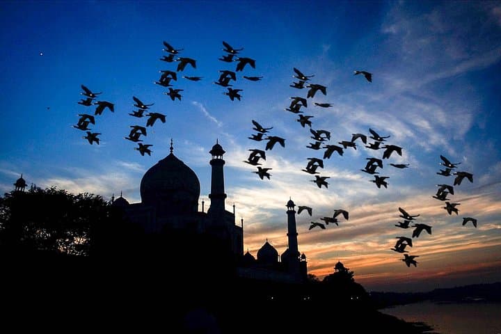 Same-Day Taj Mahal Tour from Bangalore: Flights, Agra Fort & Private Guide photo 4