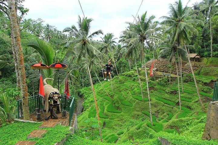 Tegalalang Rice Terrace Swing: Ubud's River-Pool Swings & Bird Nests photo 4