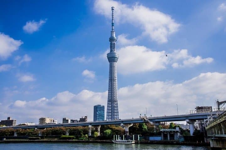 Tokyo Walking Tour: Tsukiji, Hamarikyu & Asakusa with Water Bus and Skytree photo 2