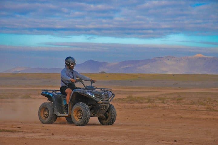 Half-Day Palmeraie Quad & Camel Tour — Marrakech Palm Grove Adventure