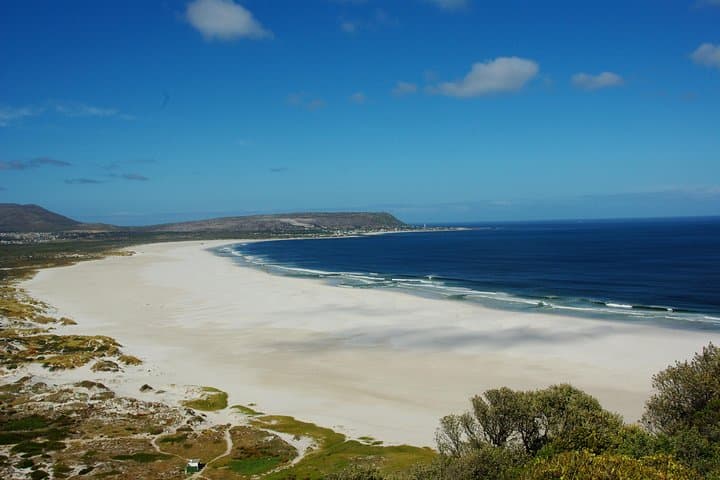 Cape Peninsula Half-Day Private Tour: Cape Point & Boulders Beach from Cape Town photo 4