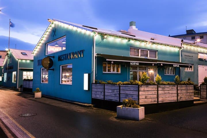 Dinner at Kopar and Northern Lights Cruise in Reykjavik photo 4