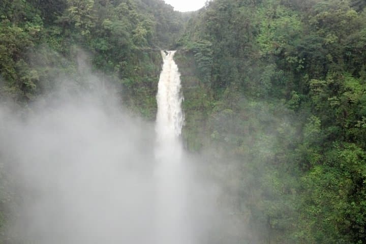 Explore Hawaii’s Big Island: A 5-Hour Custom Private Tour from Hilo photo 2