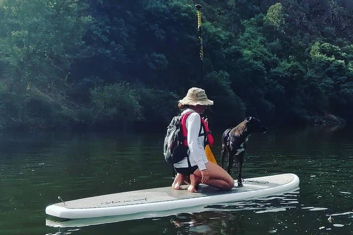 Secret Valley SUP Tour on the Mondego River, Coimbra photo 3