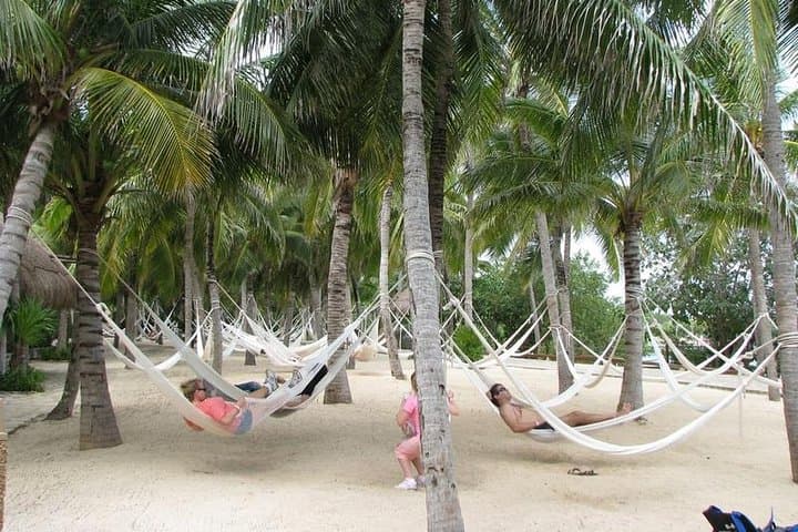 Xel-Há All-Inclusive Day Trip: Snorkel, Cenotes & Open Bar from Cancun photo 2