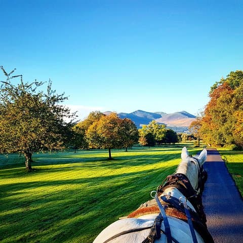 Jaunting Car to Ross Castle: A Classic Killarney National Park Ride photo 4