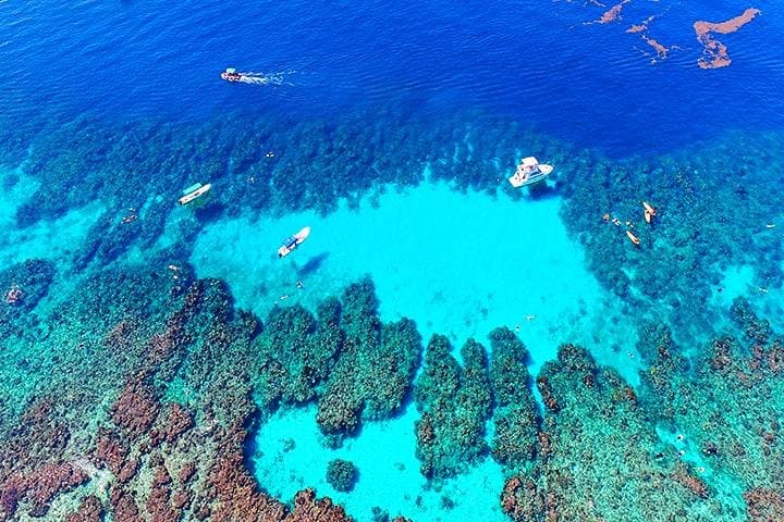 Roatan Mega Combo: Zipline, Wildlife Eco Park & West Bay Snorkel photo 4