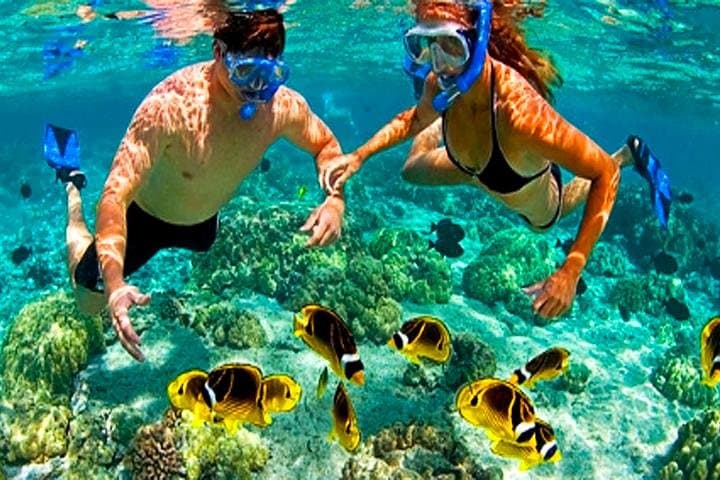 Roatan Buggy Adventure & Snorkel: Interior Buggy Tour, Reef Swim and Beach Pass photo 2
