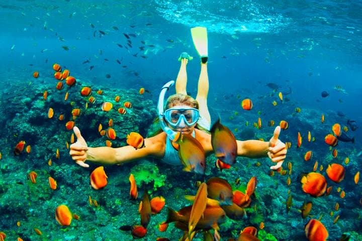 Roatan Buggy Adventure & Snorkel: Interior Buggy Tour, Reef Swim and Beach Pass photo 4