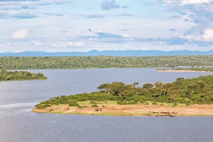Ultimate Uganda Luxury Safari: 14-Day Wildlife, Chimp & Gorilla Trekking photo 2