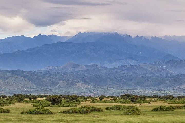 Ultimate Uganda Luxury Safari: 14-Day Wildlife, Chimp & Gorilla Trekking photo 6
