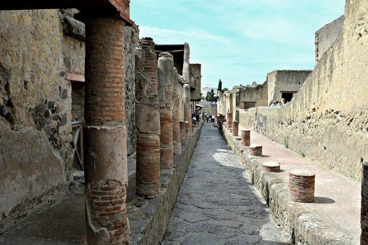 Ercolano Day Trip From Naples: Guided Tour of Herculaneum Ruins