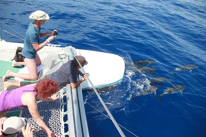 Madeira Jeep, Wine Tasting & Cabo Girão Skywalk with Dolphin-Watching Catamaran photo 3