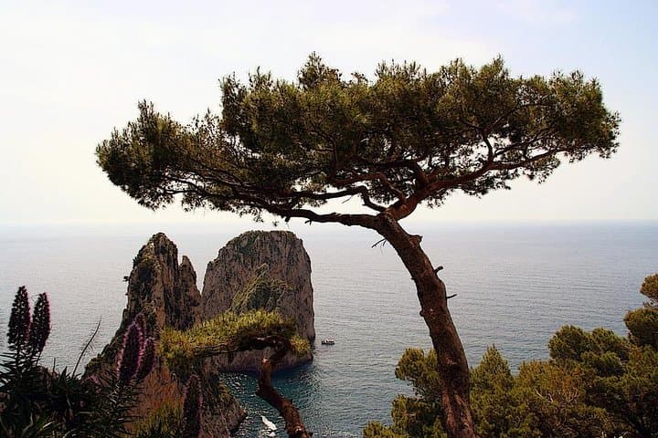 Capri Private Full-Day Tour from Rome: Monte Solaro, Blue Grotto & Augustus Gardens photo 3