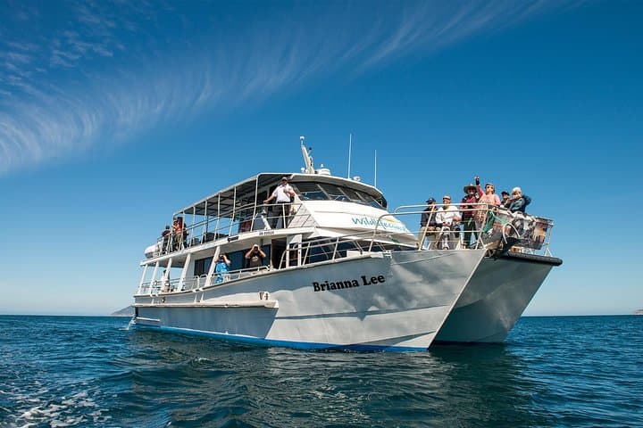Wilsons Prom Whale Cruise: Catamaran Whale Watching at Wilsons Promontory photo 2