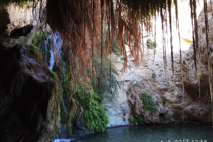 Masada, the Dead Sea & Ein Gedi: Judean Desert Day Tour from Jerusalem photo 5