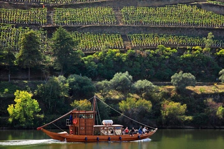 Taste the Douro: Full-Day Vintage Wine Tour with Rabelo Boat Ride photo 2