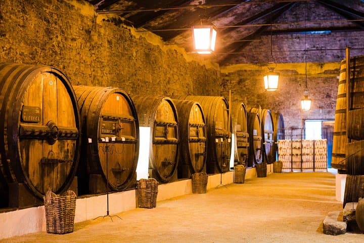 Taste the Douro: Full-Day Vintage Wine Tour with Rabelo Boat Ride photo 3