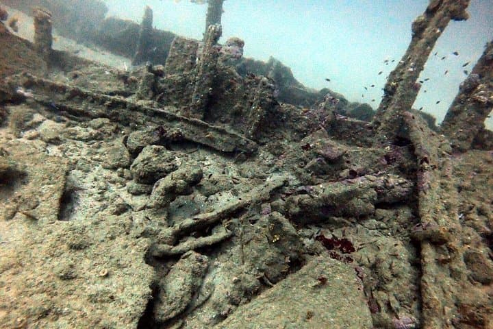 Scuba Diving in Unawatuna: Wrecks, Reefs & Tropical Marine Life photo 3