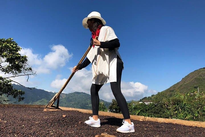 Palmitas Coffee Farm Experience: Horseback, Roast and Rural Views from Medellín