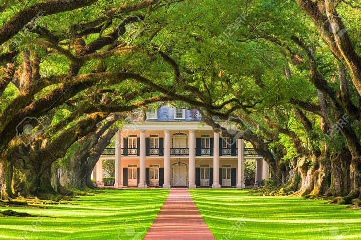 Oak Alley Plantation & River Road Private Tour from New Orleans