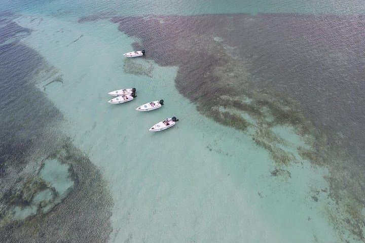 Key West Safari: Eco Sandbar Snorkel & Mini-Boat Adventure photo 6