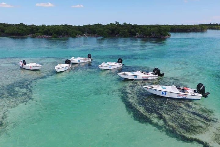 Key West Safari: Eco Sandbar Snorkel & Mini-Boat Adventure photo 4