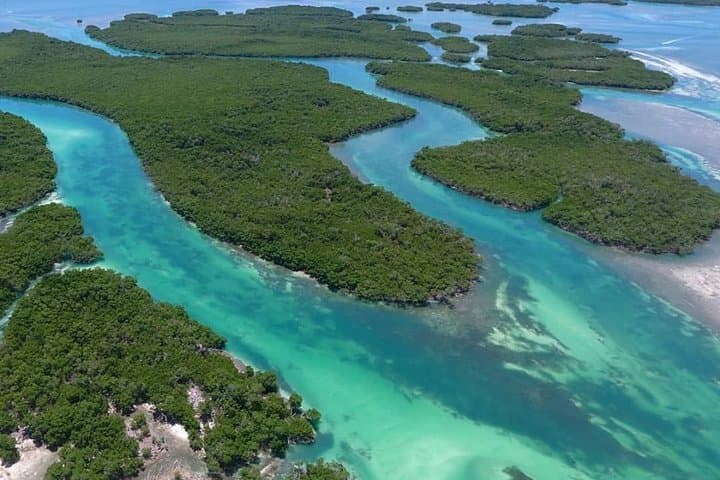 Key West Safari: Eco Sandbar Snorkel & Mini-Boat Adventure photo 5