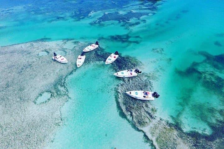Key West Safari: Eco Sandbar Snorkel & Mini-Boat Adventure