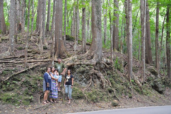 Bohol Countryside Tour: Chocolate Hills, Loboc River Cruise & Tarsier Encounter photo 3