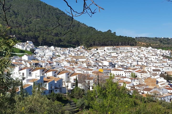 Ronda Full-Day E-Bike Wine & Tapas Tour: Electric Bike Ride Through White Villages photo 5