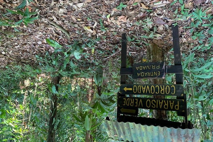 Overnight in Paraíso Verde: Corcovado Jungle Camping near Drake Bay