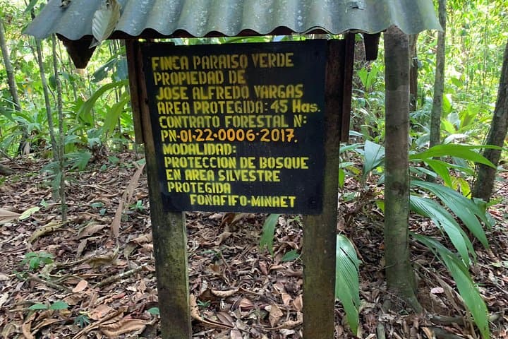 Overnight in Paraíso Verde: Corcovado Jungle Camping near Drake Bay photo 2