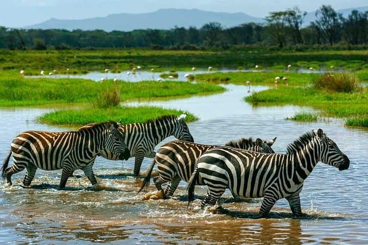 5-Day Kenya Safari: Maasai Mara, Amboseli & Samburu Wildlife Circuit