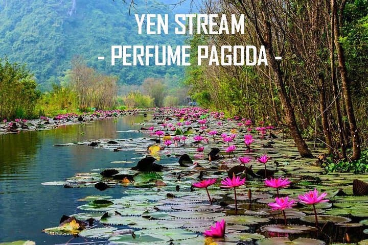Perfume Pagoda Full-Day Private Tour: Sampan Ride, Huong Tich Cave & Thien Tru Hike from Hanoi photo 3