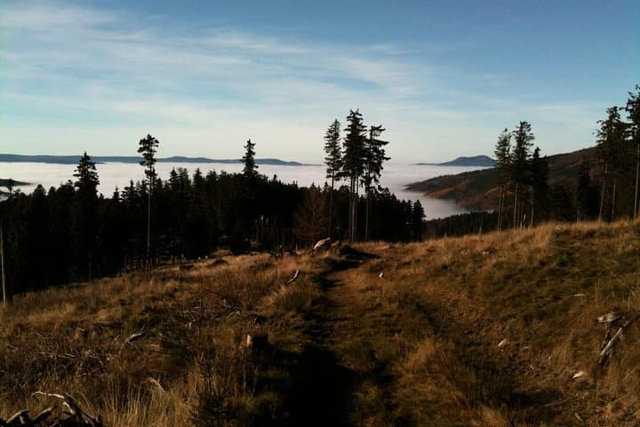 Mont‑Sainte‑Odile private walk: panoramic views, monastery history & forest trails photo 3