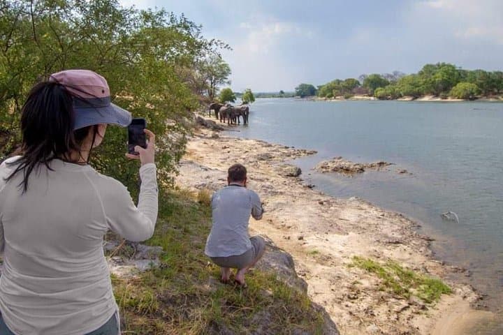 Ultimate 3-Day Victoria Falls Safari: Zambezi Cruises, Game Drives & Rainforest Walks photo 4