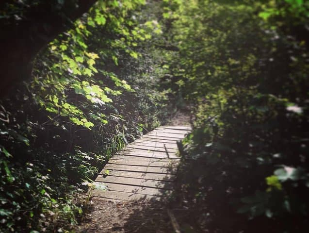 Sintra Kingdom of Love Private Day Walk — 6 km Historic Forest Hike with a Historian photo 4