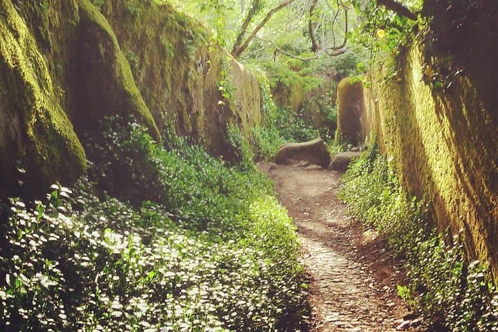 Sintra Kingdom of Love Private Day Walk — 6 km Historic Forest Hike with a Historian
